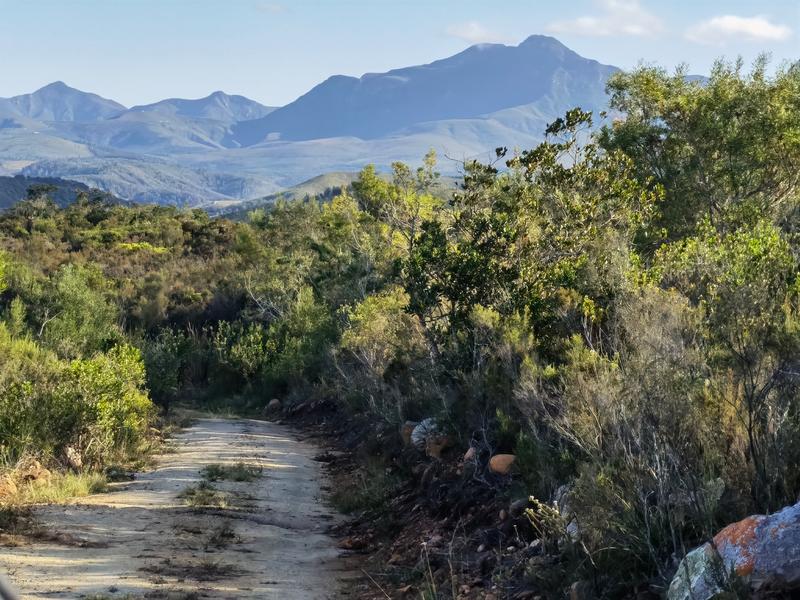 0 Bedroom Property for Sale in Mossel Bay Western Cape